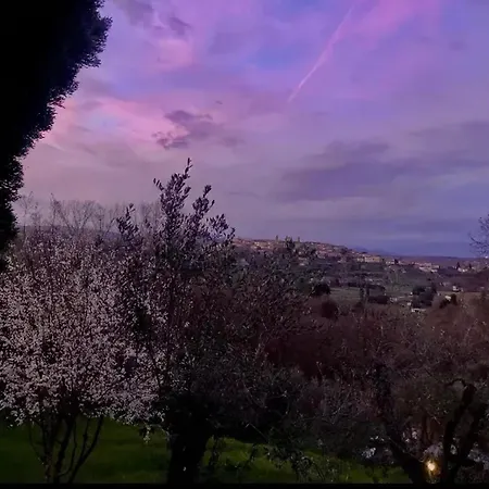 Charming House In Monte San Savino, Private Pool Holiday home *