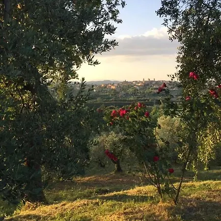Charming House In Monte San Savino, Private Pool *