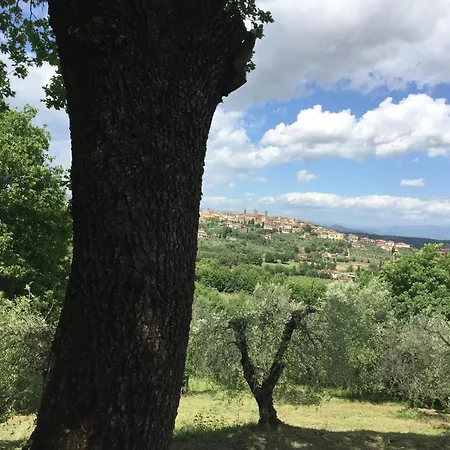 Charming House In Monte San Savino, Private Pool * Monte San Savino