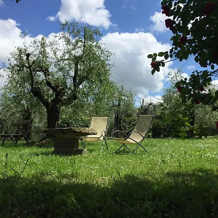 Holiday home Charming House In Monte San Savino, Private Pool *