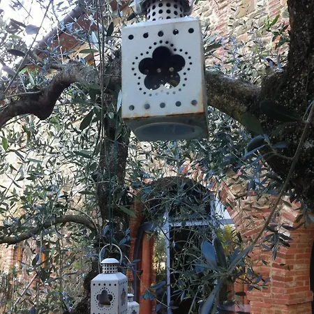 Holiday home Charming House In Monte San Savino, Private Pool Monte San Savino